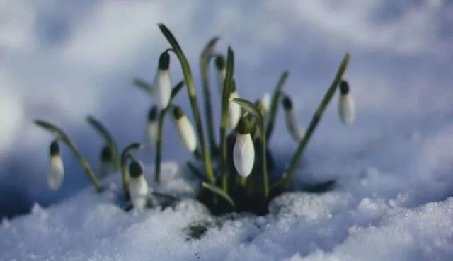 【缤纷文苑】余光中:不要问我心里有没有你,我