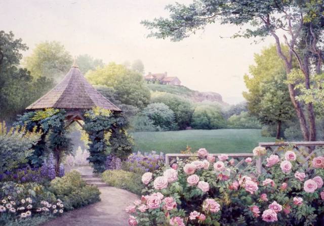 more  (彬彬的玫瑰花园真实局部小景)