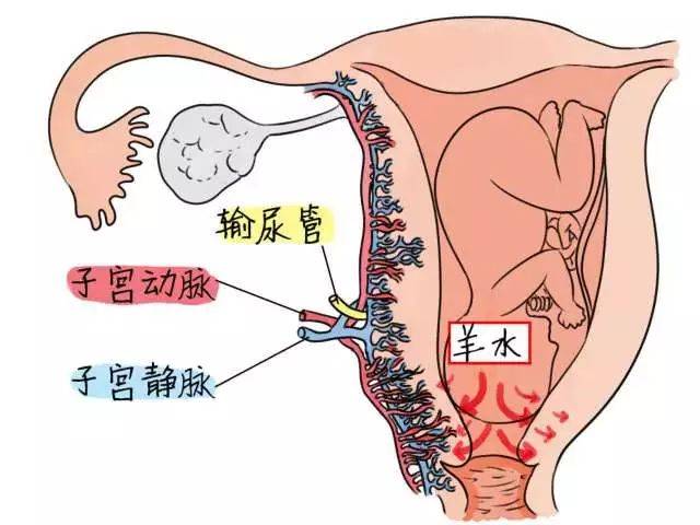 【生死时速3小时】我院成功抢救一羊水栓塞产