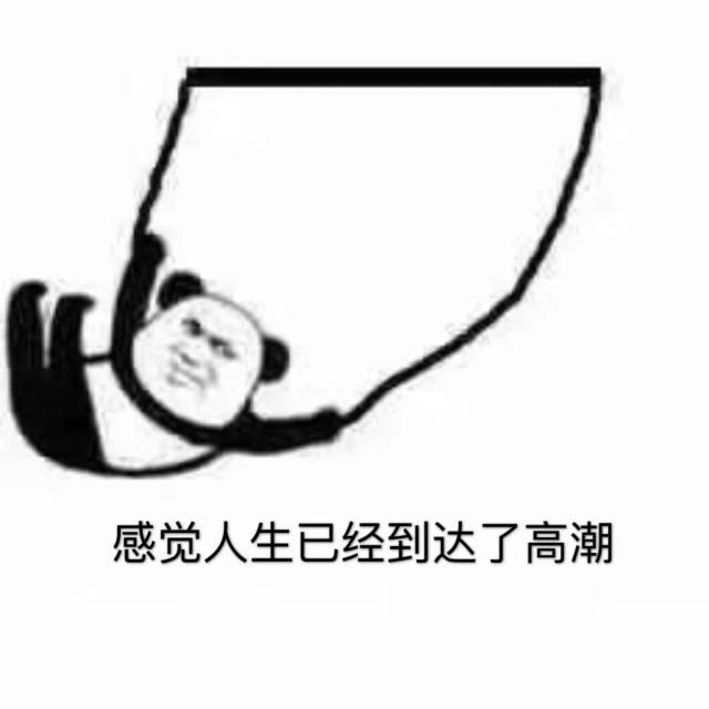 【沙雕表情包】好嗨哟,感觉人生已经达到了高潮