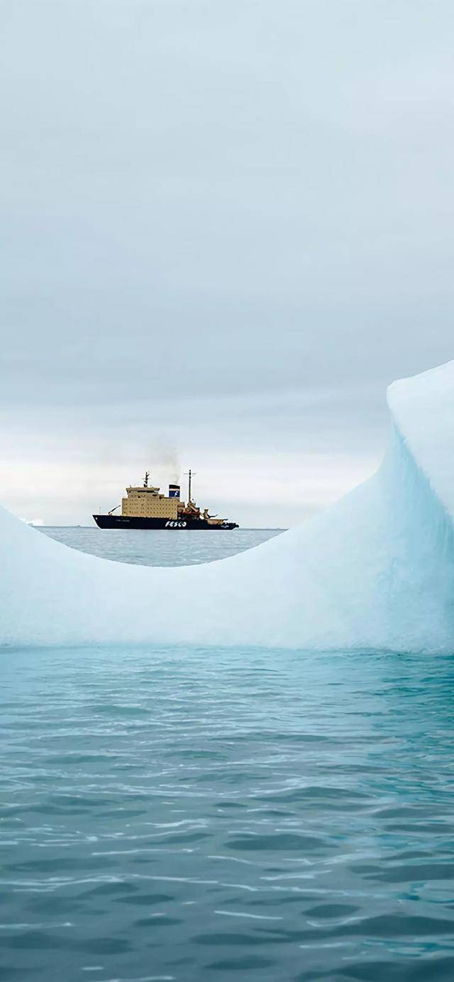 个性全面屏尺寸手机壁纸|全集