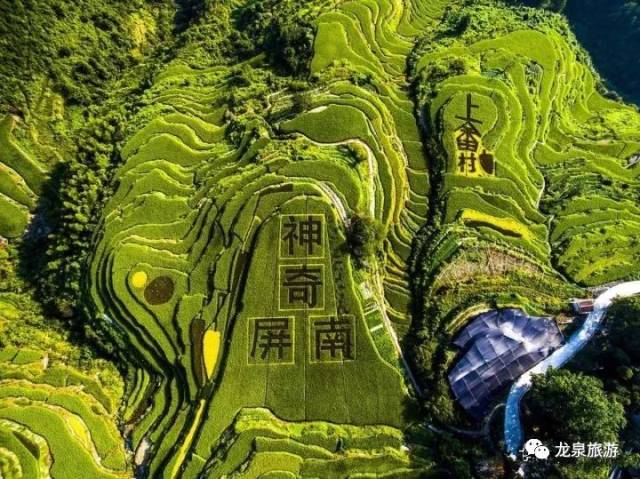 厉害了龙泉这12个村拟列入第五批中国传统村落名录快看下有没有你们村