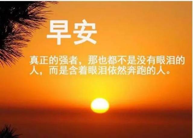 不甘于接受命运的安排就要敢于去安排自己的命运