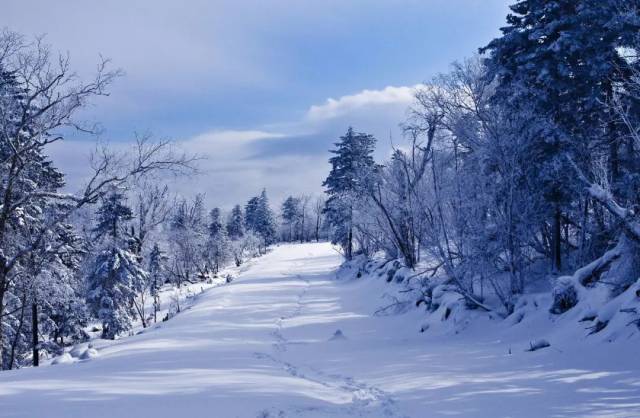 伐要眼巴巴等下雪啦!江浙沪 北方 海外优质滑雪场大盘点!