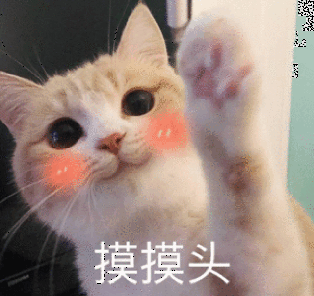 喵星人给你发来了一波表情包