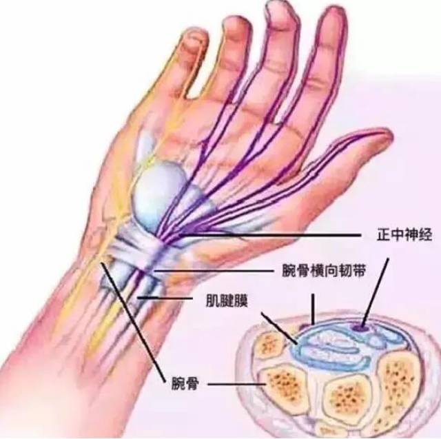 骑行不戴手套的危害究竟有多大?缓解腕关节压迫