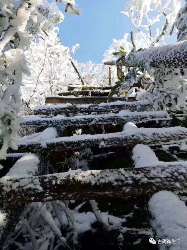 【围观】古蔺虎头山阳光下的雪景,美爆!