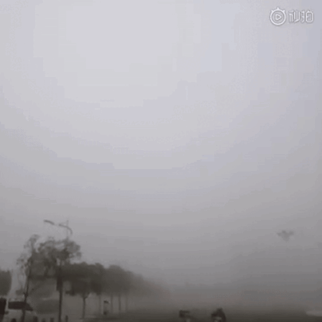 动图看起来是不是更带劲 不过大雾天气势必影响出行 尤其是高速,今天