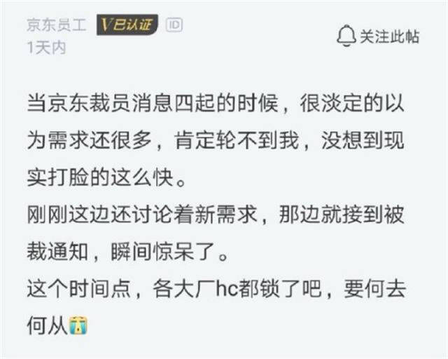 京东员工吐槽:以为裁员轮不到自己,谁料到这么快就被现实打脸!