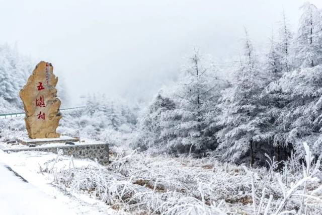 各大区县也迎来了初雪的降临,奉节也不例外,茅草坝的滑雪场是一直向往