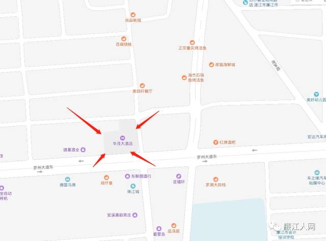 明天起,廉江这家酒店即将人山人海!到底什么原因?