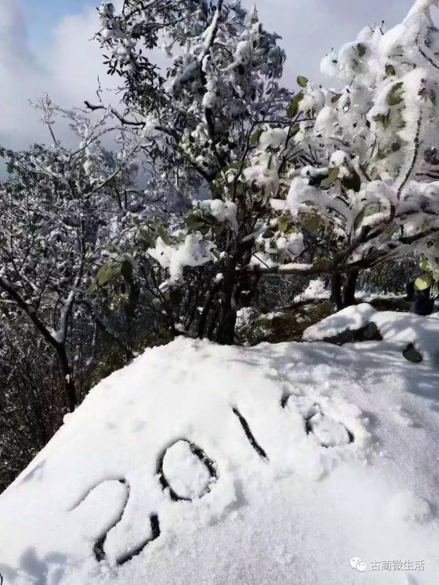 【围观】古蔺虎头山阳光下的雪景,美爆!