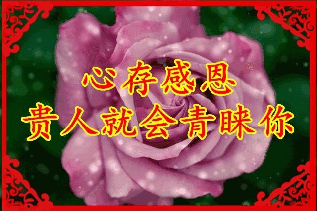 送给最爱和支持我的朋友,祝愿你们幸福快乐每一天!