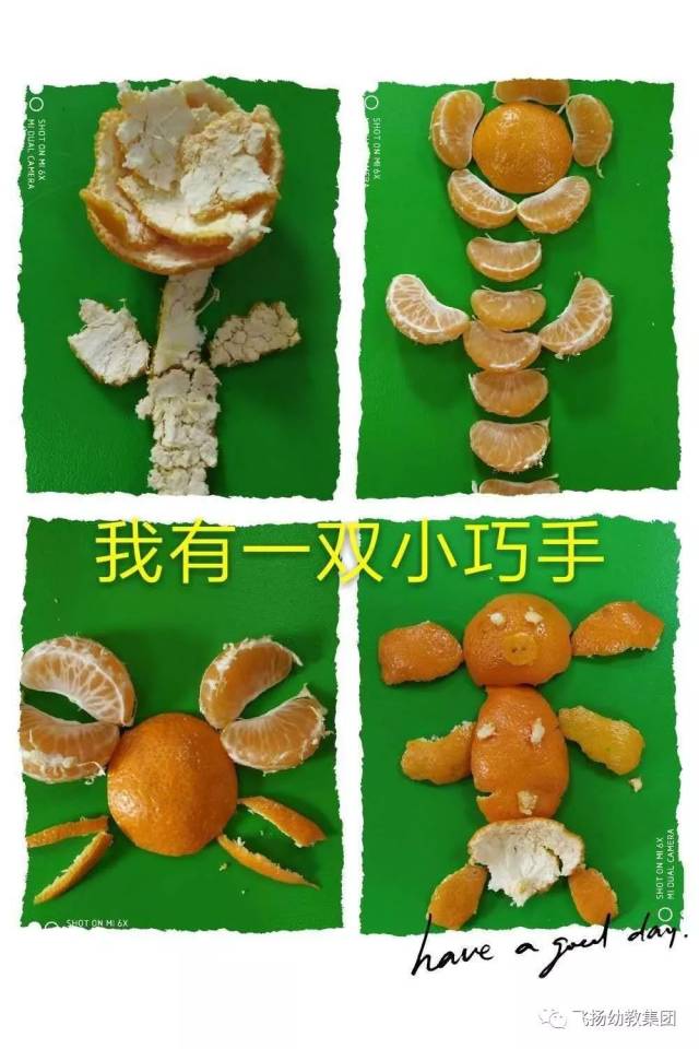 飞扬幼教集团艺晨校区——《桔子变变变》