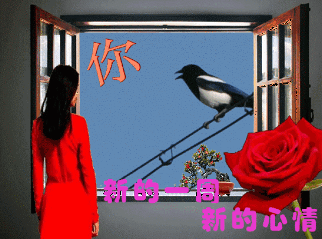 543_404 gif 动态图 动图