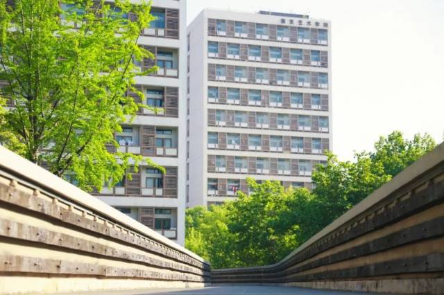 南京艺术学院