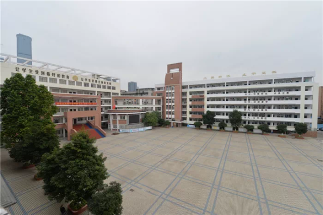 港北区县西小学 港北区新世纪小学 覃塘区街道中心小学 覃塘高级中学