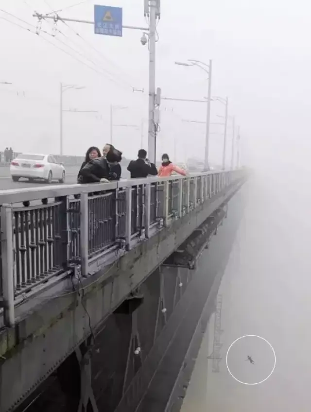 意外的记录:武汉长江大桥上,一名年轻女子突然从桥上越下,跳桥自杀的