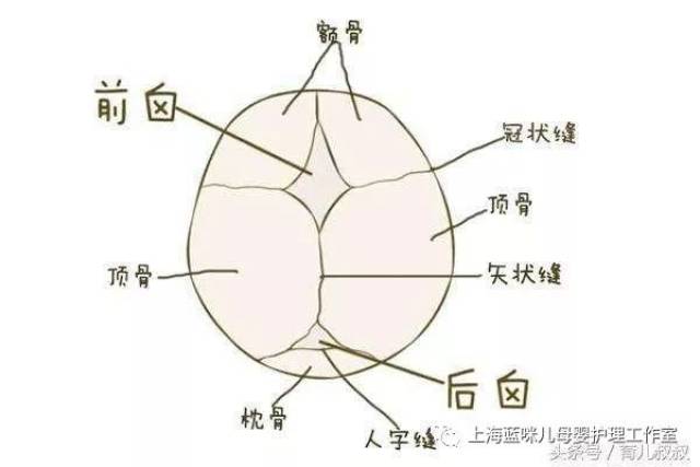 宝宝卤门应该什么时候闭合?需要注意什么?