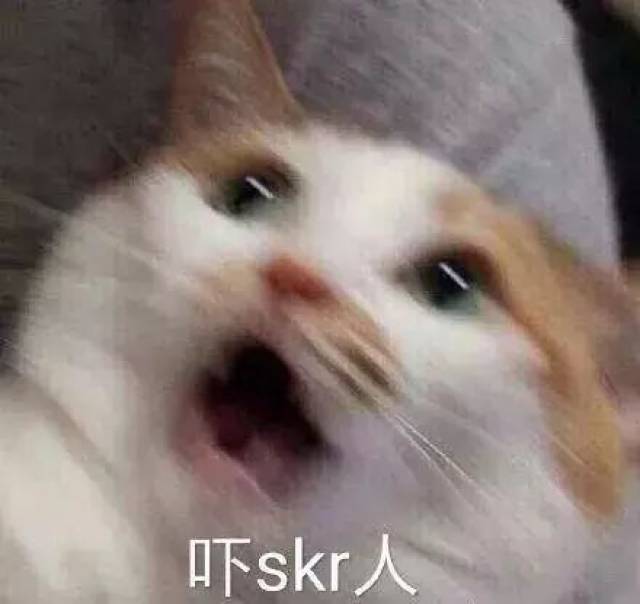 2018年度流行语总结!