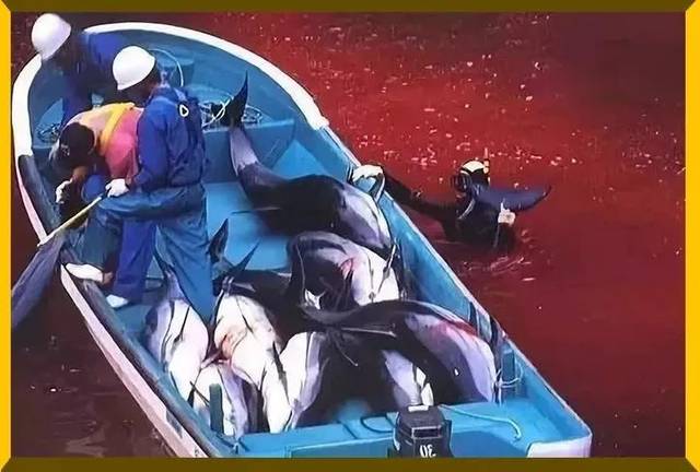伊能静全裸出镜《海王》12亿票房背后,100000条生命等待死去