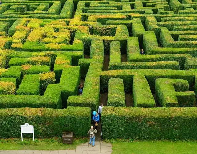 世界九大最复杂的植物迷宫