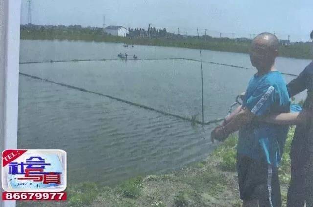 常州人注意!餐桌上的昂公竟被喂了化工染料,黑心养殖户被送上法庭!