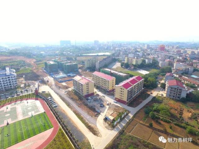 青树坪镇 154套易地扶贫搬迁"学区房"完成分配工作