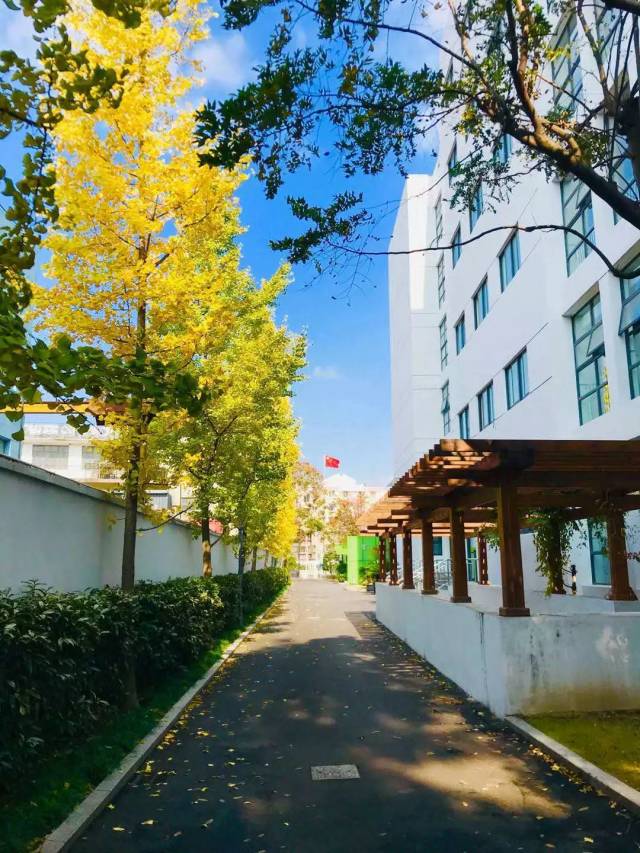 文化校园 | 邂逅美丽桃中 定格别样风采——2018年上海市桃浦中学"