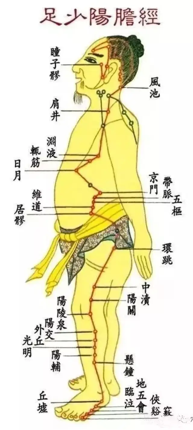 会赫然发现,足少阳胆经是一条很长的经络,从足部延伸到头部,所涉及的