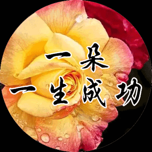 2018最后一个月,一首《我是你的玫瑰花》致我最牵挂的你!