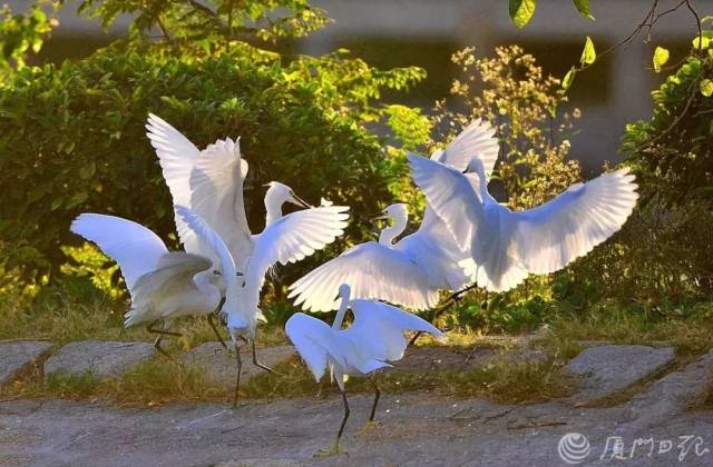 厦门,勇立潮头!庆祝改革开放40周年,厦门这三人获表彰~