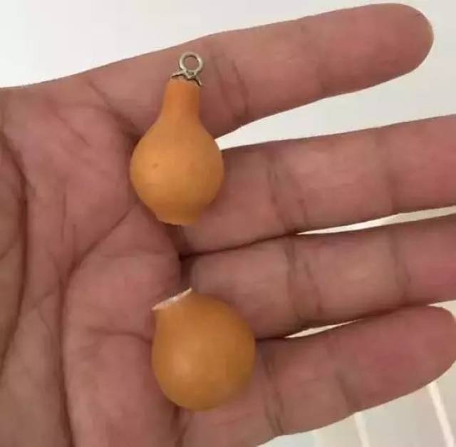 手捻葫芦有"三怕" 盘玩切记要当心!