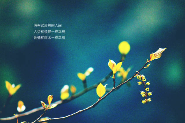 活在这珍贵的人间