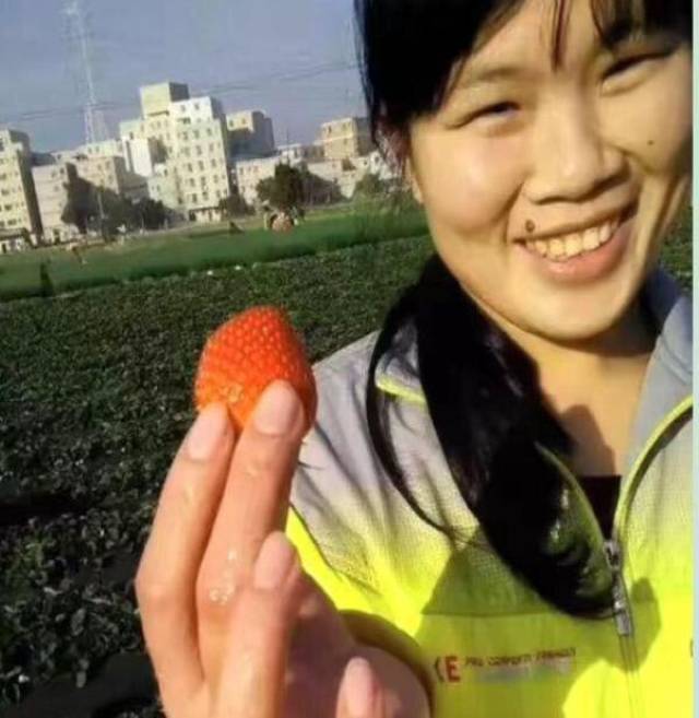 搞笑ps图片:求大神p个霸气背景,网友:毁三观,笑死!