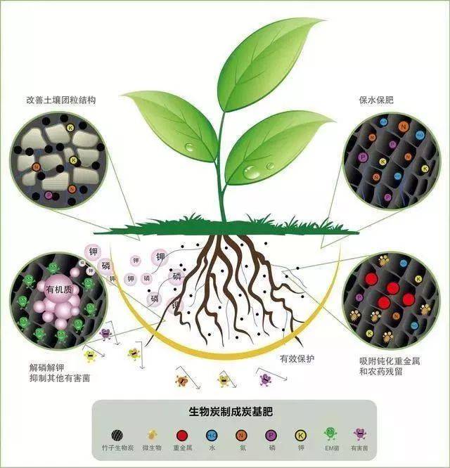 用秸秆制作"黑色黄金"生物炭,可广泛应用于土壤改良,肥料缓释剂,固碳