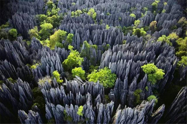 马达加斯加,神奇的火山岩岛屿_手机搜狐网