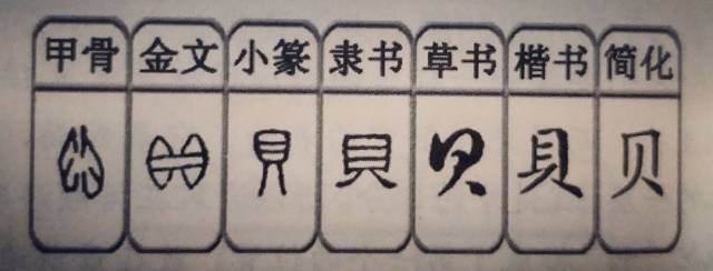 今日解字『贝』:请叫我"货币始祖"