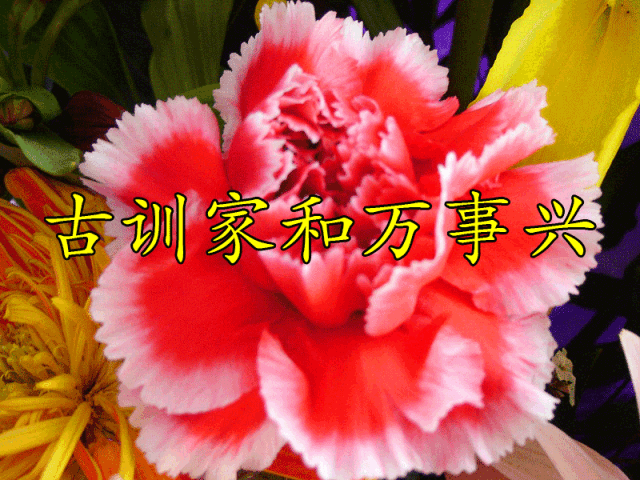 一家人,什么最重要?