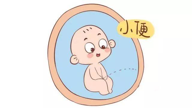 胎宝宝也会尝尝羊水的滋味.