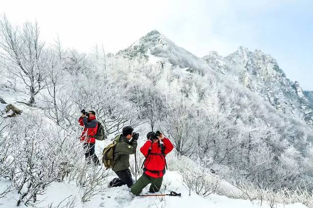 不,在乳山冬天既能看雪,又能看海!