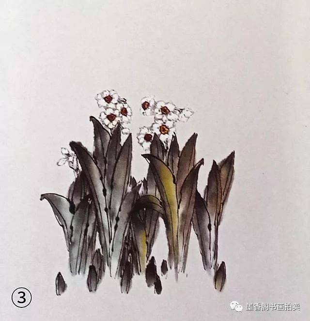 国画教程:各种水仙花的画法