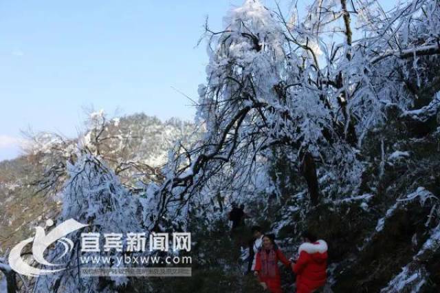 宜宾这些地方被大雪盖满了.