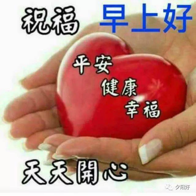 早上好,送你最全的早上好表情图片!太美了!快收.藏