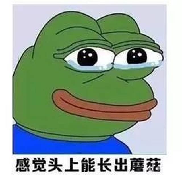 今天起,佛山天气大逆转!回南天要来了?