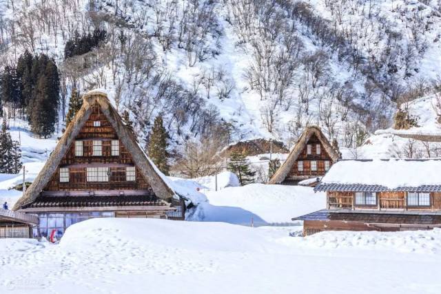 日本最美童话村,冬季温暖雪屋