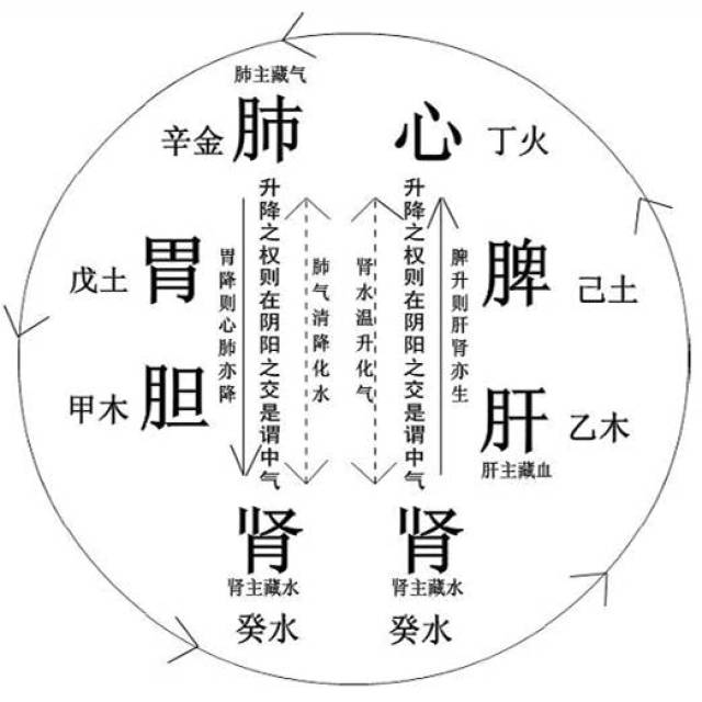 气机的出入升降