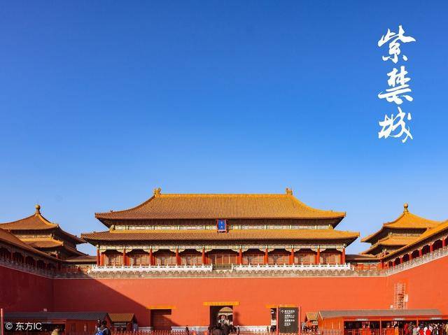 为何故宫一到半夜就乌鸦满天飞那里到底藏着何种