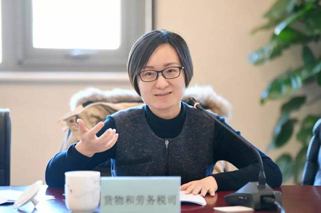 国家税务总局货物和劳务税司张颖处长