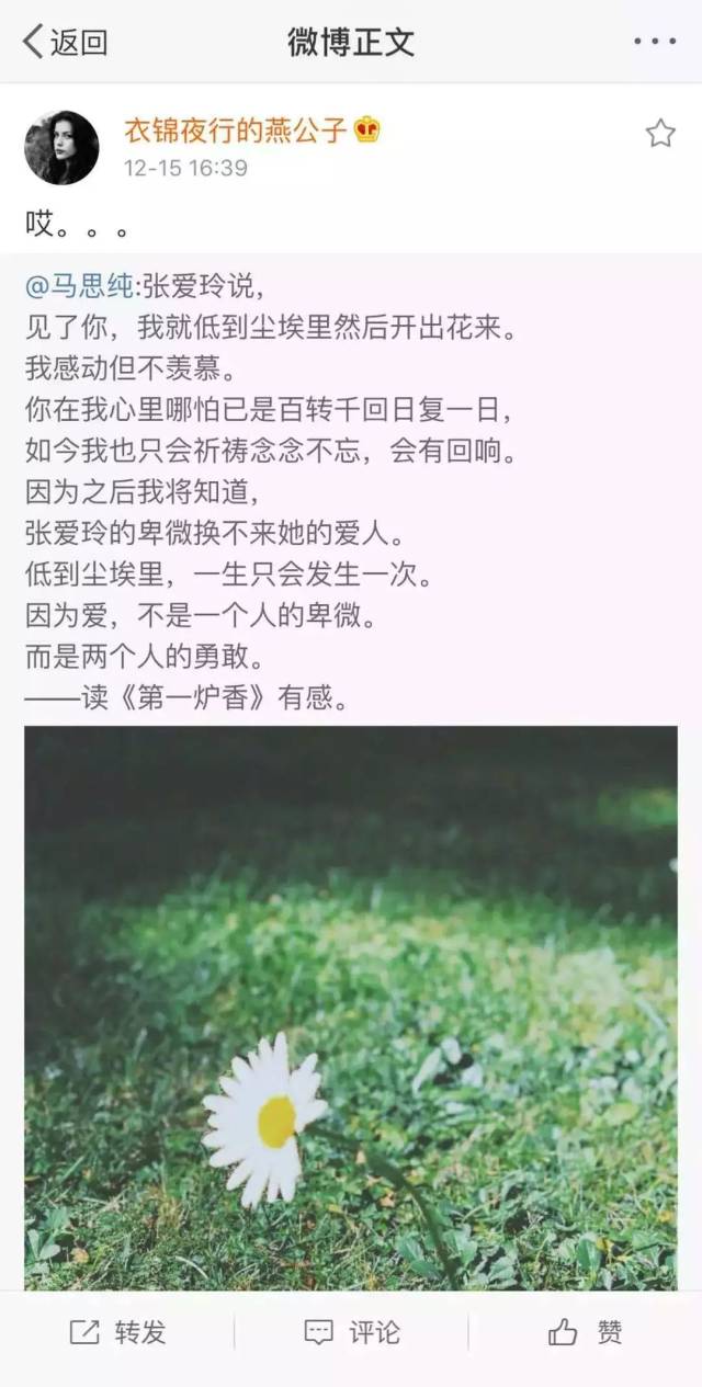 94bb4c5708dd406ab18c92899236f8c3.jpeg